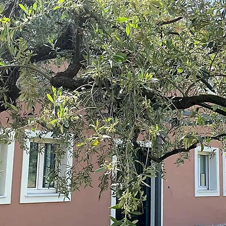فندق Casa Teresi *