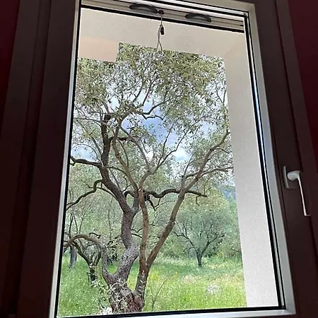 Casa Teresi فندق *
